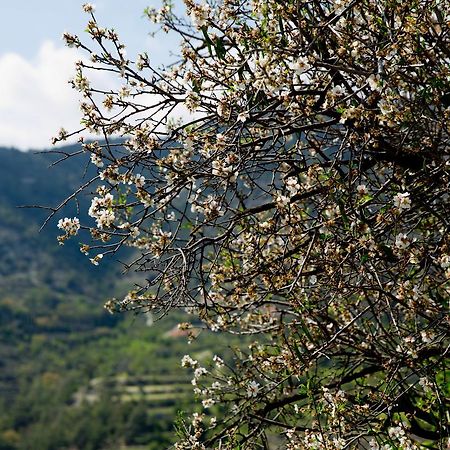 Vila The Old Olive Mill House By Trulycyprus Dhoros Exteriér fotografie