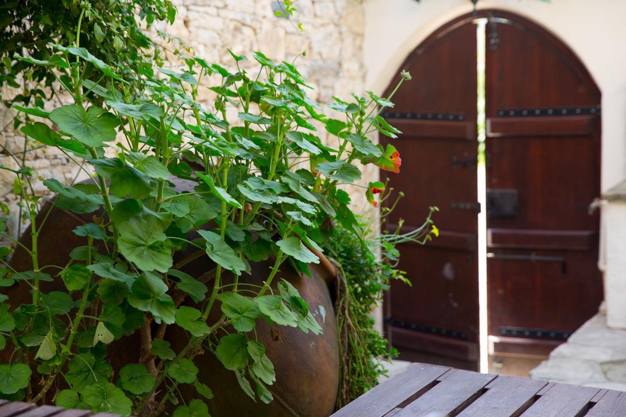 Vila The Old Olive Mill House By Trulycyprus Dhoros Exteriér fotografie