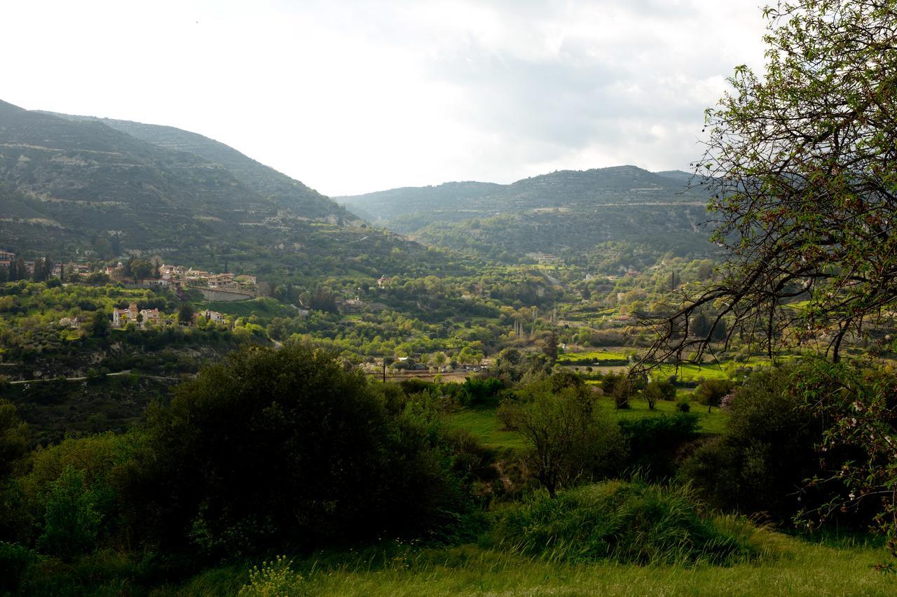 Vila The Old Olive Mill House By Trulycyprus Dhoros Exteriér fotografie